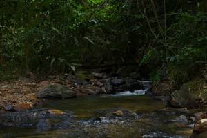 BIB: 
                            <button type="button" onclick="openModal(21852559)" class="btn btn-primary btn-sm float-right btn-popup" data-toggle="modal" data-target=".modal-high-quality">
                        <i class="fas fa-shopping-cart"></i> Add to Cart
                    </button>
                                            <button type="button" onclick="isThisMe(21852559, true)" class="btn btn-success btn-sm float-right btn-popup btn-isme hidden" data-toggle="tooltip" data-placement="bottom" title="นี่คือรูปของคุณใช่ไหม คลิกที่นี่เพื่อเอาเข้าอัลบั้ม">
                        <i class="fas fa-plus"></i> Add to album
                    </button>
                    <button type="button" onclick="isThisMe(21852559, false)" class="btn btn-warning btn-sm float-right btn-popup btn-isnotme hidden">
                        <i class="fas fa-ban"></i> Remove from album
                    </button>